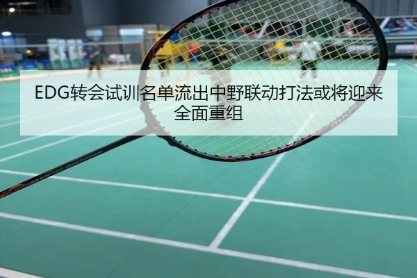 EDG转会试训名单流出中野联动打法或将迎来全面重组